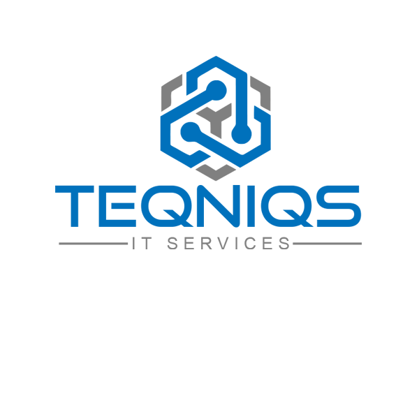 TEQNIQS IT Services